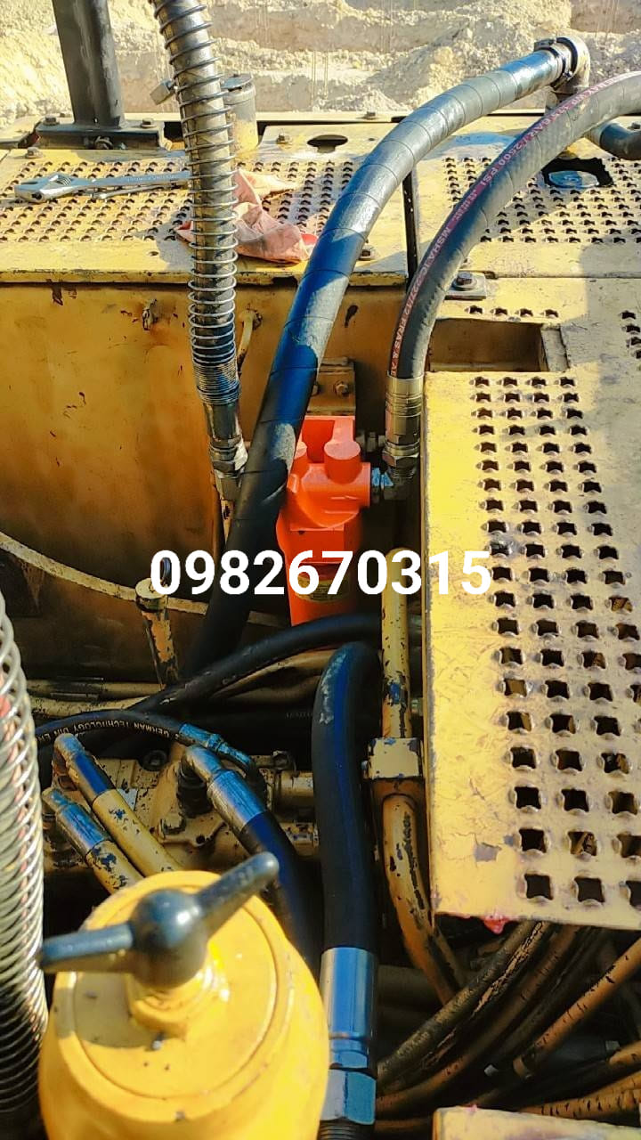 417687117_1558386288296976_62213780533591319_n.jpg